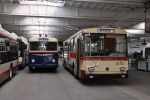 náhodná fotka z aktualizace 75 let trolejbusů v Jihlavě II